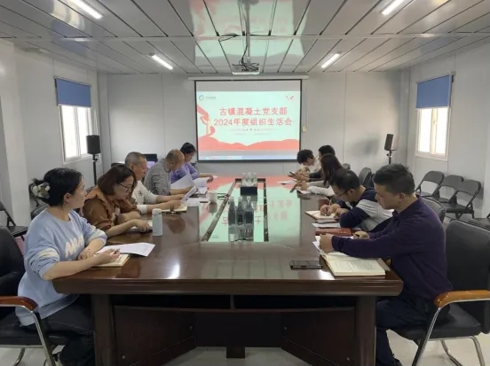 市古鎮(zhèn)投資公司各黨支部召開2024年度組織生活會