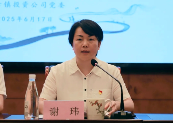 市古鎮(zhèn)投資公司召開正風(fēng)肅紀(jì)警示教育會